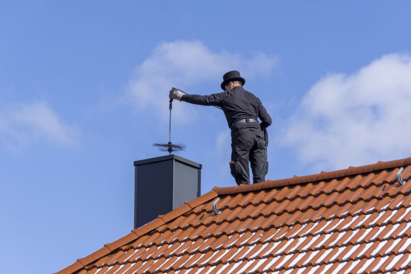 Clean Chimney Inspection